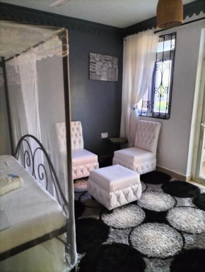 Luxurious Studio Apartments